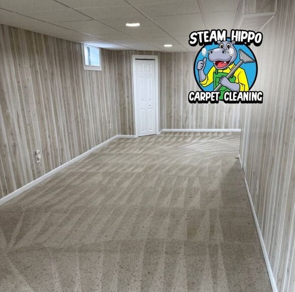 Example after carpet cleaning